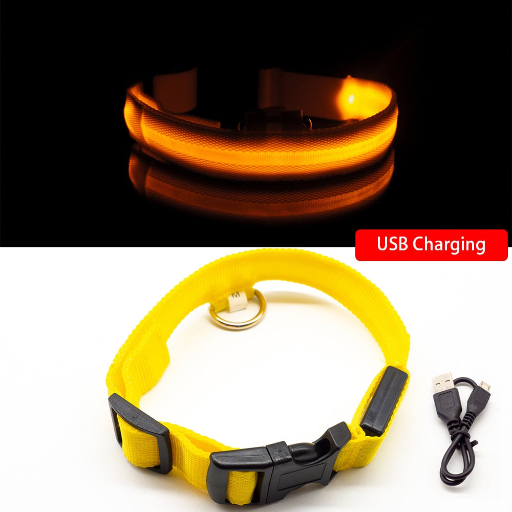USB Charging/Battery replacement Led Dog Collar Anti-Lost Collar For Dogs Puppies Dog Collars Leads LED Supplies Pet Products.