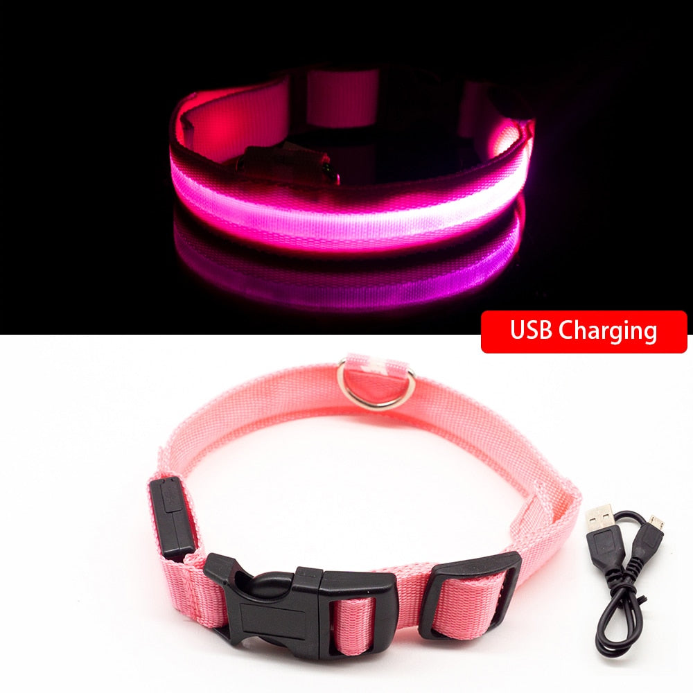 USB Charging/Battery replacement Led Dog Collar Anti-Lost Collar For Dogs Puppies Dog Collars Leads LED Supplies Pet Products.