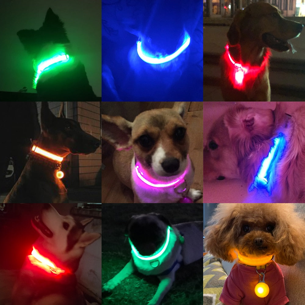 USB Charging/Battery replacement Led Dog Collar Anti-Lost Collar For Dogs Puppies Dog Collars Leads LED Supplies Pet Products.