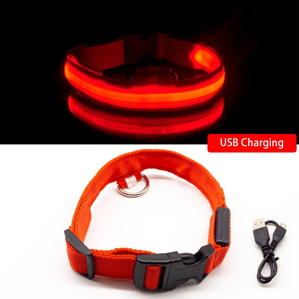 USB Charging/Battery replacement Led Dog Collar Anti-Lost Collar For Dogs Puppies Dog Collars Leads LED Supplies Pet Products.