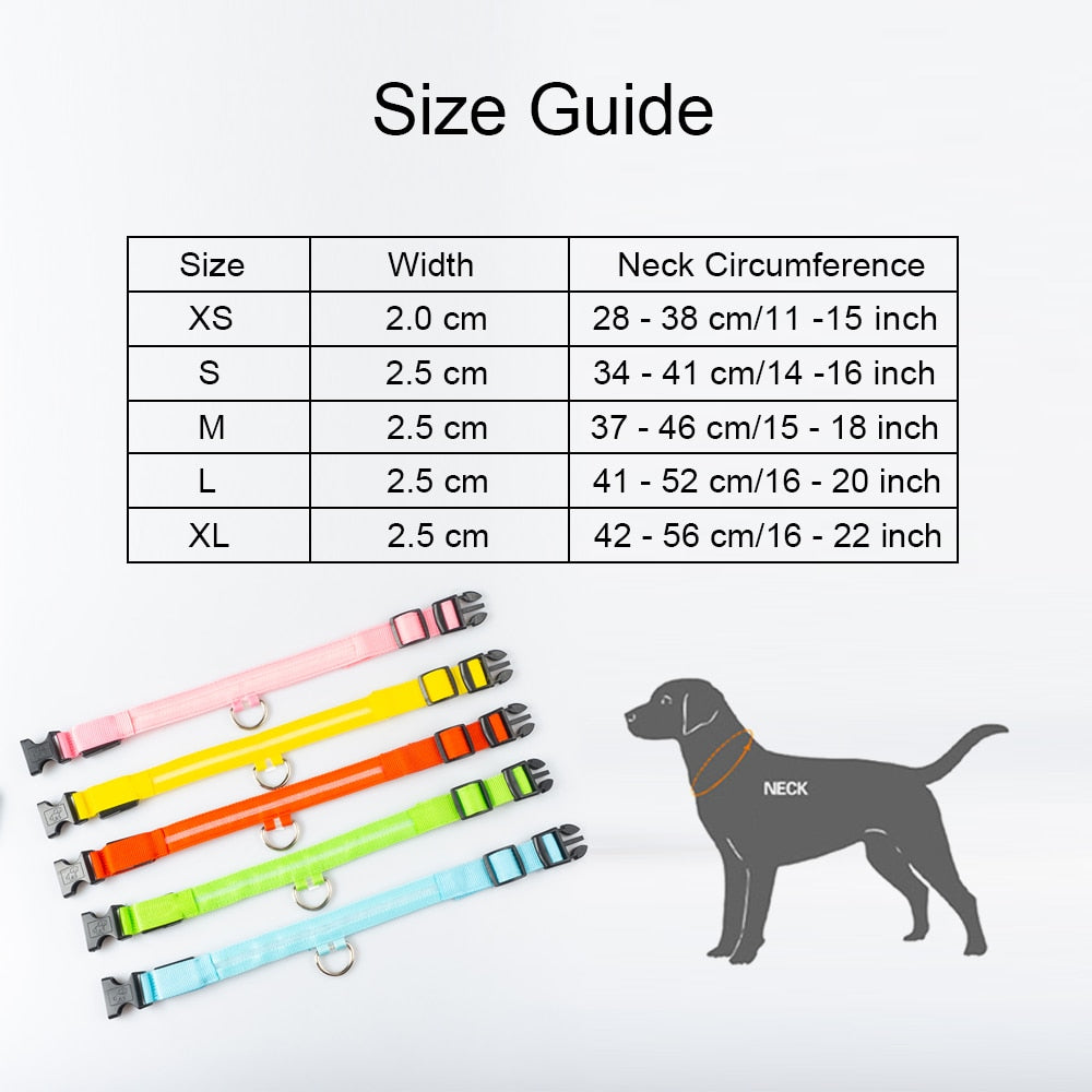 USB Charging/Battery replacement Led Dog Collar Anti-Lost Collar For Dogs Puppies Dog Collars Leads LED Supplies Pet Products.