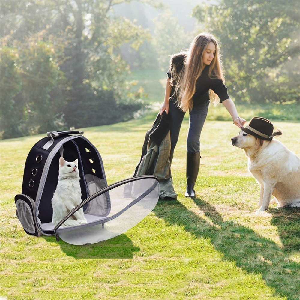 Cat Carrier Bag Cat Cage Transport Backpack Bag Travel Pet Portable Breathable Dog Shoulder Bags Carrier Pet For Cat Accessories