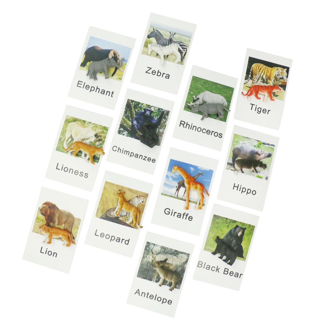 Montessori Educational Animal Preschool Toddler Learning Sensory Toys for Kids Montessori Toy Sensory Toys G2266F