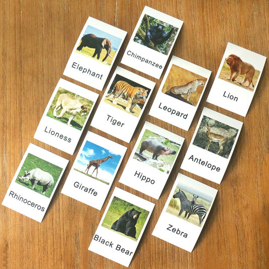 Montessori Educational Animal Preschool Toddler Learning Sensory Toys for Kids Montessori Toy Sensory Toys G2266F