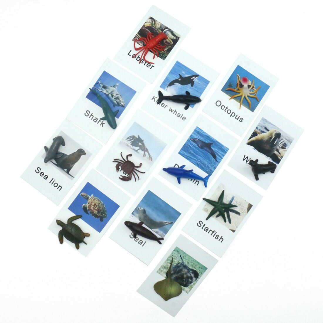 Montessori Educational Animal Preschool Toddler Learning Sensory Toys for Kids Montessori Toy Sensory Toys G2266F