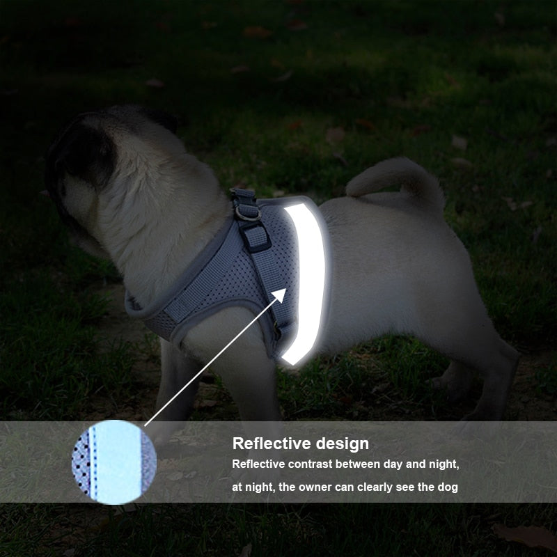 Dog Harness with Leash Summer Pet Adjustable Reflective Vest Walking Lead for Puppy Polyester Mesh Harness for Small Medium Dog.