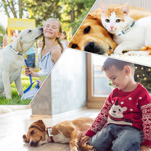 Dog GPS Tracker TK909 Waterproof IP65 Geo-fence 400h Standby Mini GPS Locator For Dog GPS For Cat Collar Voice Monitor FREE APP.