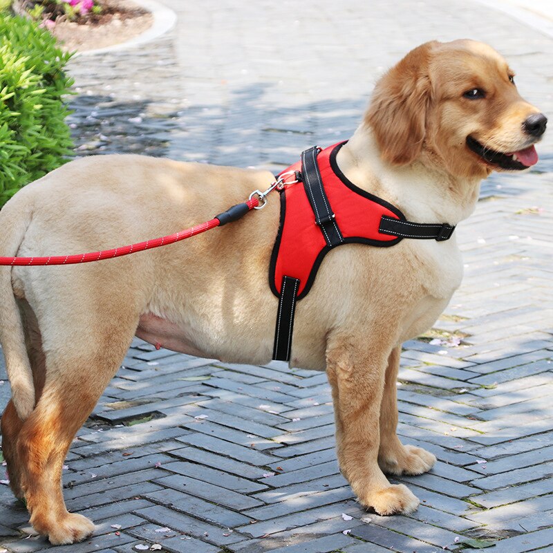 Reflective Dog Harness Adjustable Nylon K9 Harness Collar Leash Dog Leads for Small Large Dogs Walking Running Pets Accessories