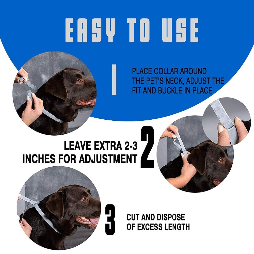 Flea And Tick Collar For Dogs Cats Up To 8 Month Flea Tick Dog Collar Anti-mosquito and insect repellent Pet collars.