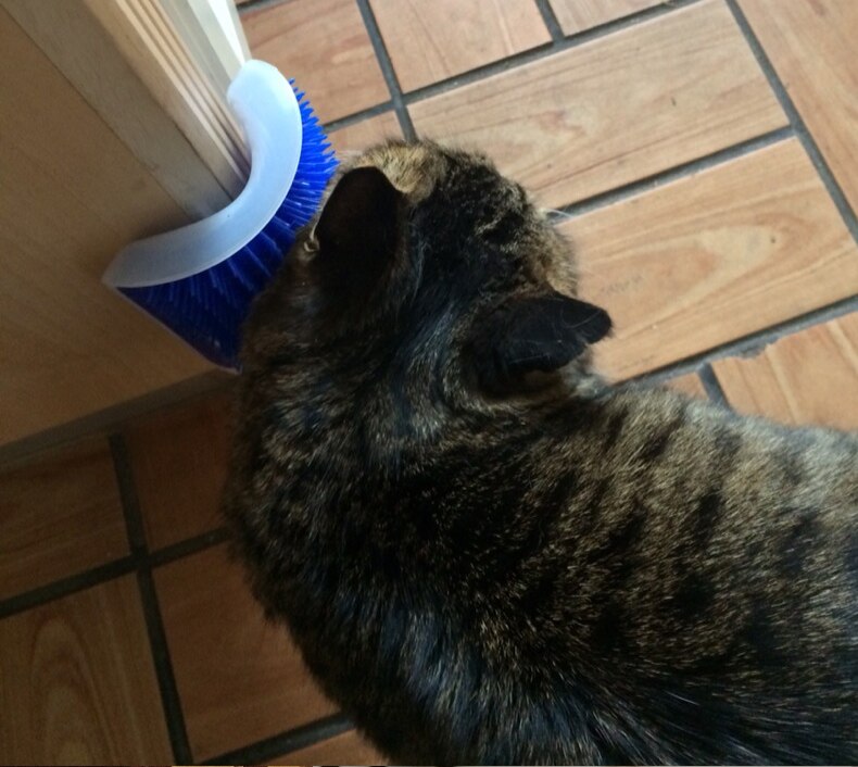 Pet Cat Self Groomer For Cat Grooming Tool Hair Removal Comb Dogs Cat Brush Hair Shedding Trimming Massage Device With Catnip