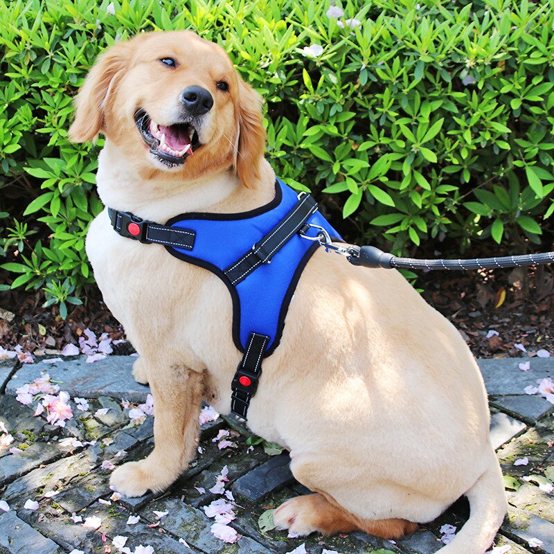 Reflective Dog Harness Adjustable Nylon K9 Harness Collar Leash Dog Leads for Small Large Dogs Walking Running Pets Accessories