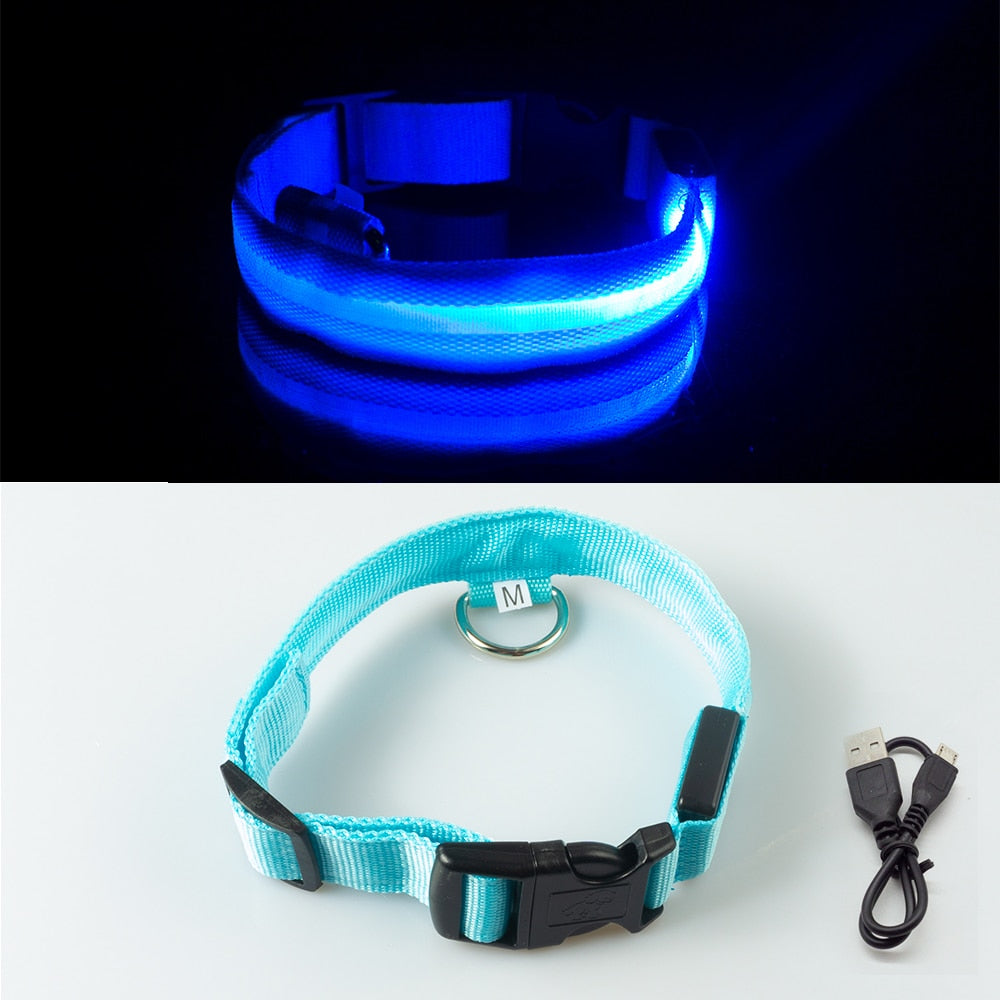 USB Charging/Battery replacement Led Dog Collar Anti-Lost Collar For Dogs Puppies Dog Collars Leads LED Supplies Pet Products.