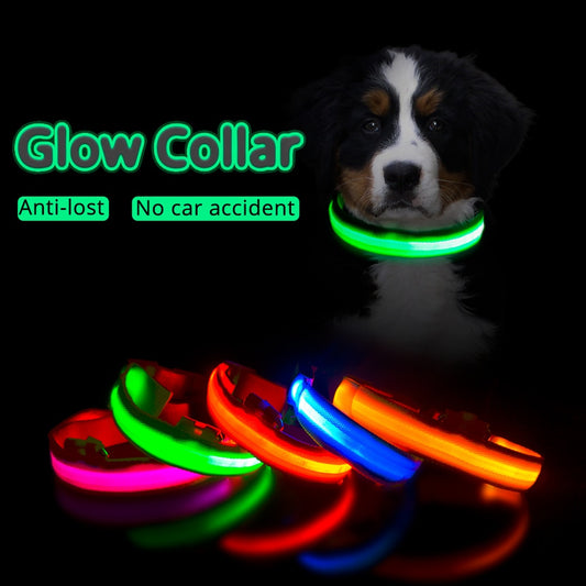 USB Charging/Battery replacement Led Dog Collar Anti-Lost Collar For Dogs Puppies Dog Collars Leads LED Supplies Pet Products.