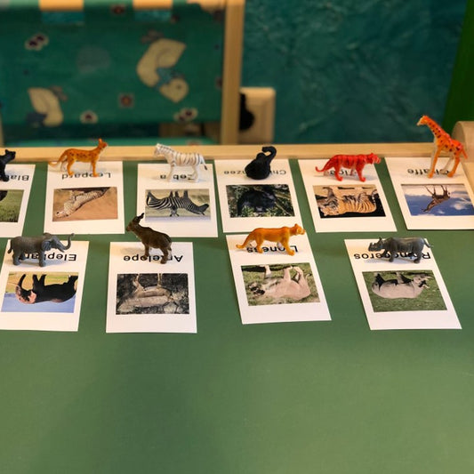 Montessori Educational Animal Preschool Toddler Learning Sensory Toys for Kids Montessori Toy Sensory Toys G2266F