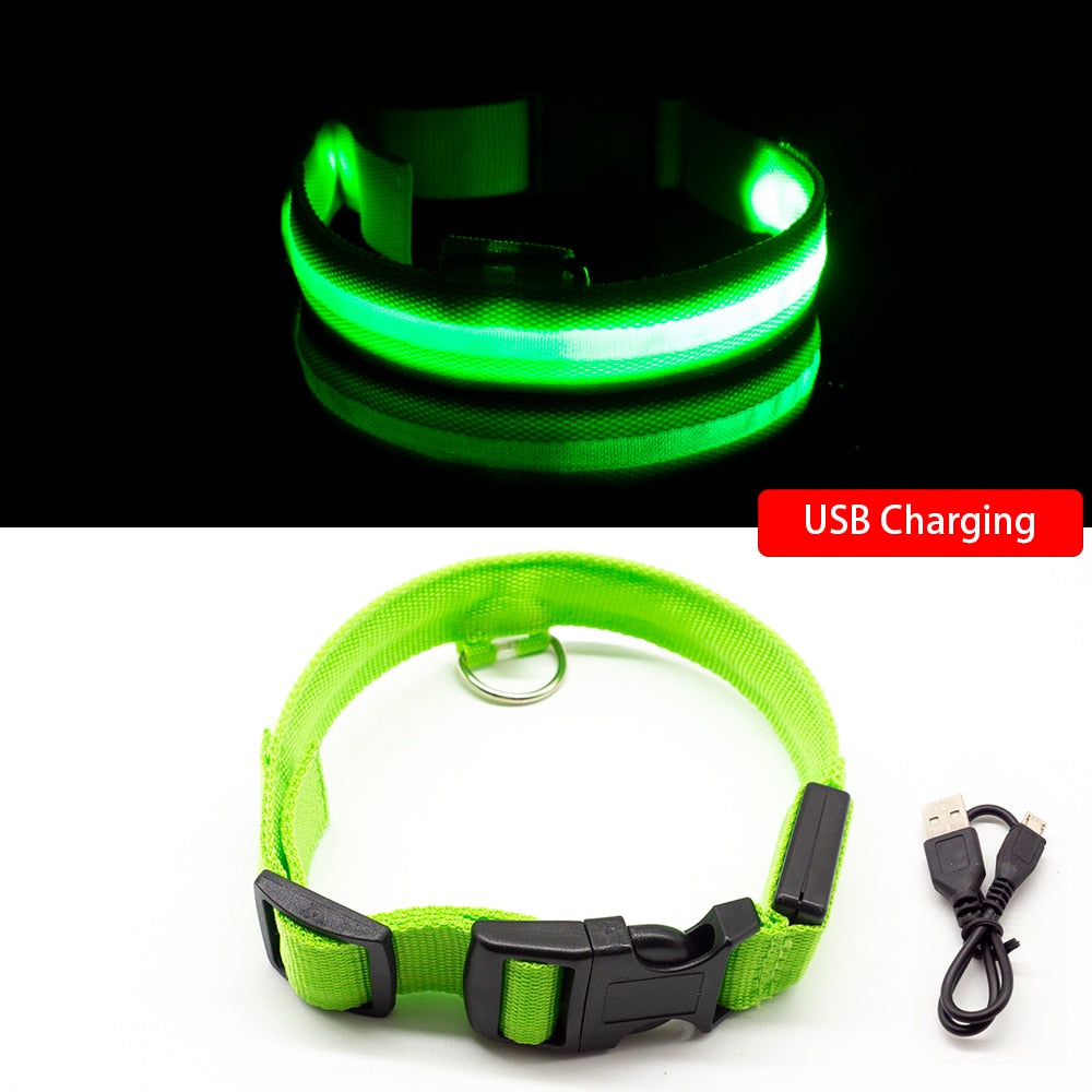 USB Charging/Battery replacement Led Dog Collar Anti-Lost Collar For Dogs Puppies Dog Collars Leads LED Supplies Pet Products.
