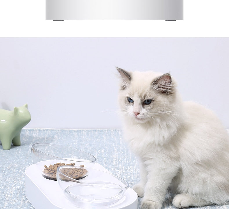 PETKIT Pet Bowl Feeding Dishes Adjustable Double Feeder Bowls Water Cup Cat Bowls Drinking Bowl Plastic / Stainless Steel