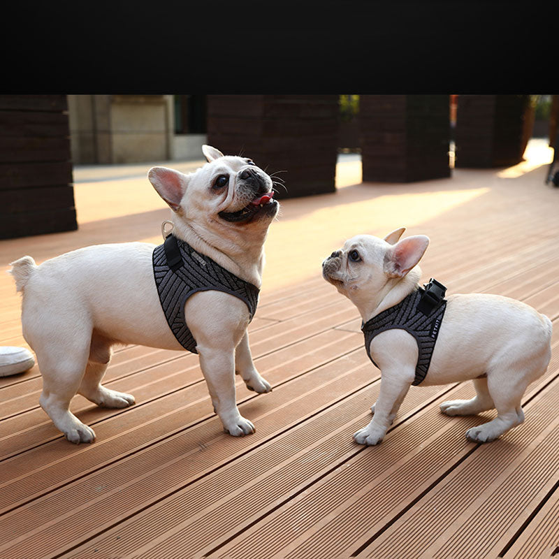 PETKIT Adjustable Dog Chest Harness Breathable Padded Air Pro Dog Harness Vest Soft Harness For Puppy Small Medium Dogs Outdoor
