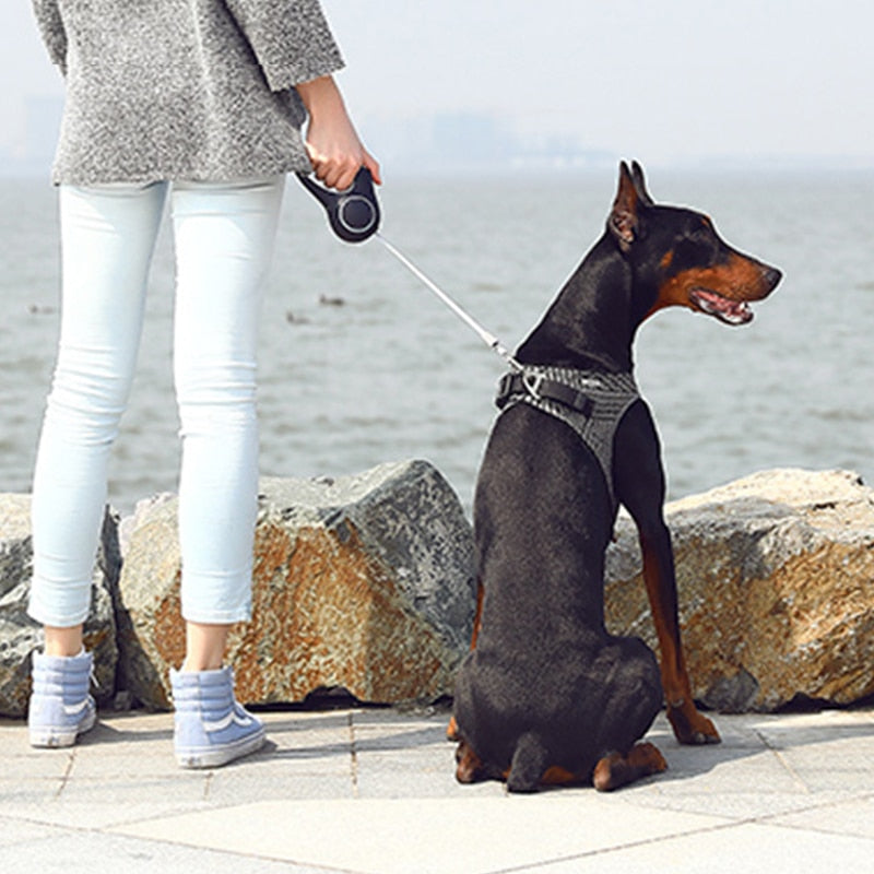 PETKIT Adjustable Dog Chest Harness Breathable Padded Air Pro Dog Harness Vest Soft Harness For Puppy Small Medium Dogs Outdoor
