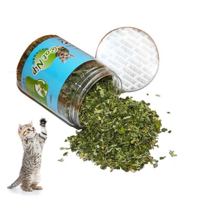 10g/20g/30g Cat Toy Catnip Organic 100% Natural Premium Catnip Cattle Grass Menthol Flavor Funny Cat Mint Toys Cat Tree