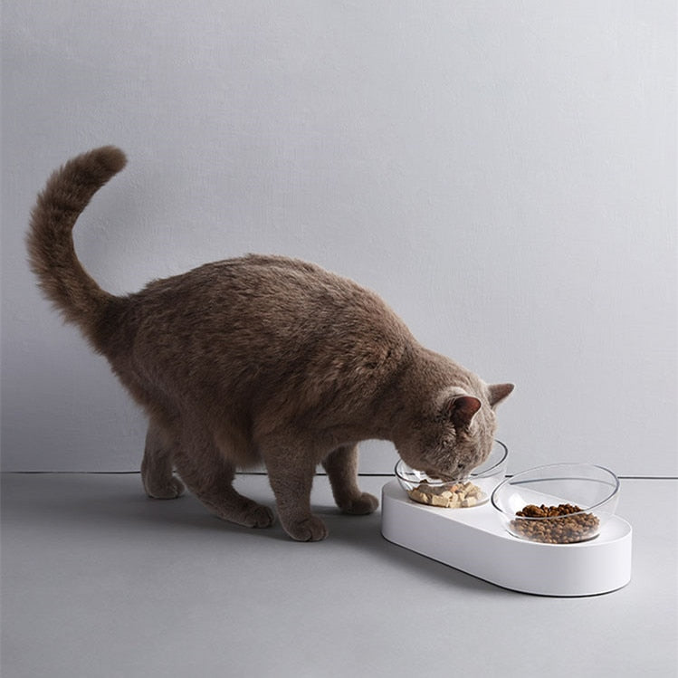 PETKIT Pet Bowl Feeding Dishes Adjustable Double Feeder Bowls Water Cup Cat Bowls Drinking Bowl Plastic / Stainless Steel