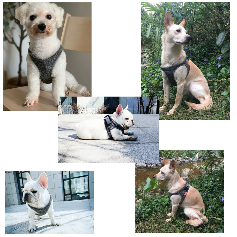 PETKIT Adjustable Dog Chest Harness Breathable Padded Air Pro Dog Harness Vest Soft Harness For Puppy Small Medium Dogs Outdoor