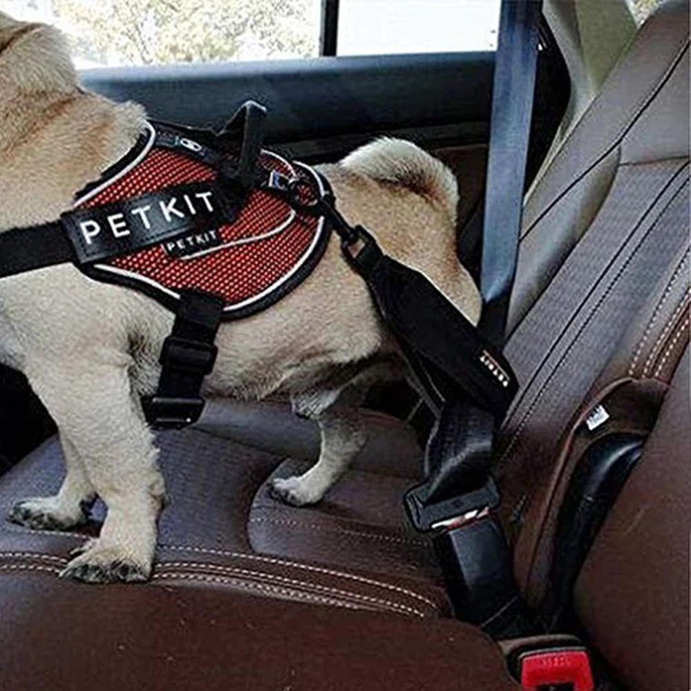 Instachew PETKIT Pet Safety Belt.