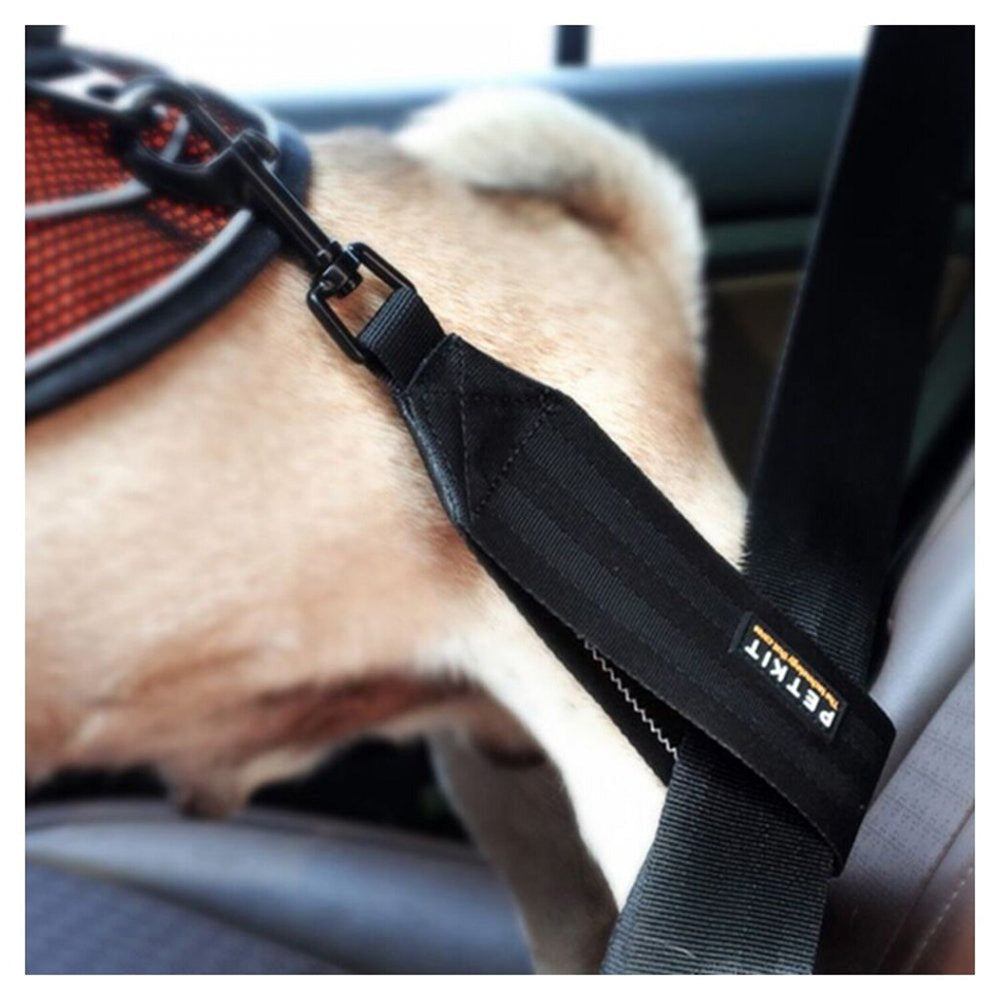 Instachew PETKIT Pet Safety Belt.