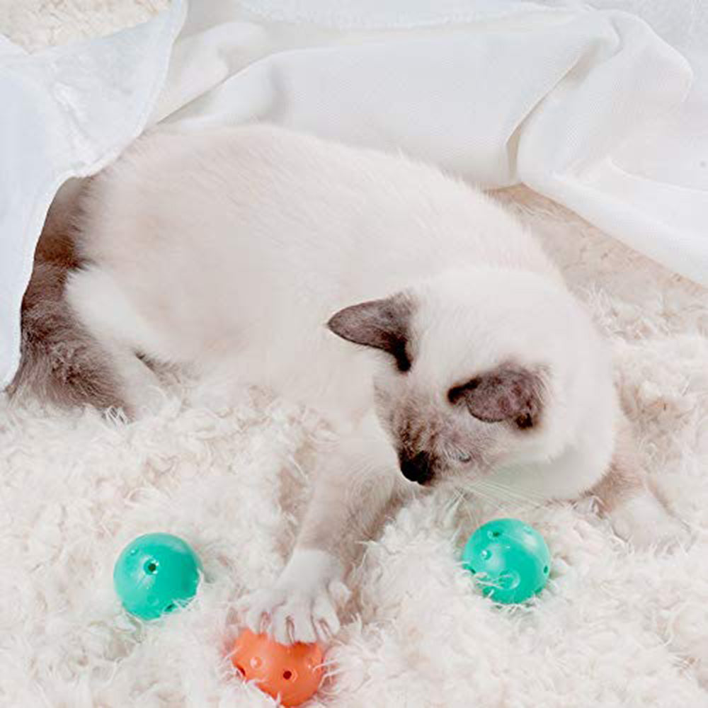 Instachew PETKIT Cat Scratch and Play Mat.