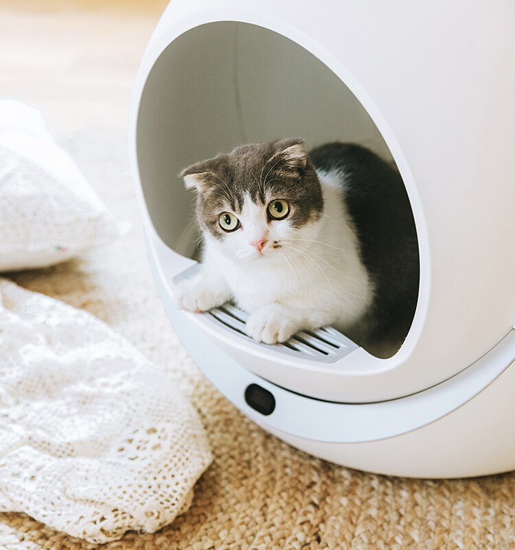 Self-Cleaning Cat Litter Box Cats Sandbox Smart Toilet Rotary Training Detachable Bedpan Cat Sand Mat For Multiple Cats