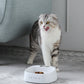 Orignal PETKIT Pet Fedding Bowl Automatic Weighing Food Dog Food Bowl Digital Feeding Bowl Stand Dog Feeder Drinking Bowls