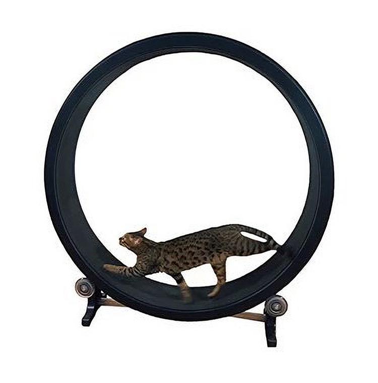 Pet cat climbing frame, cat toy, cat sports toy, cat climbing wheel, cat treadmill, cat running wheel