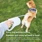 Xiaomi Dog Leash Lead Petkit Automatic Walking Rope Youpin Retractable LED Night Light Small Medium Large Pet Dogs Accessories