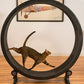Pet cat climbing frame, cat toy, cat sports toy, cat climbing wheel, cat treadmill, cat running wheel