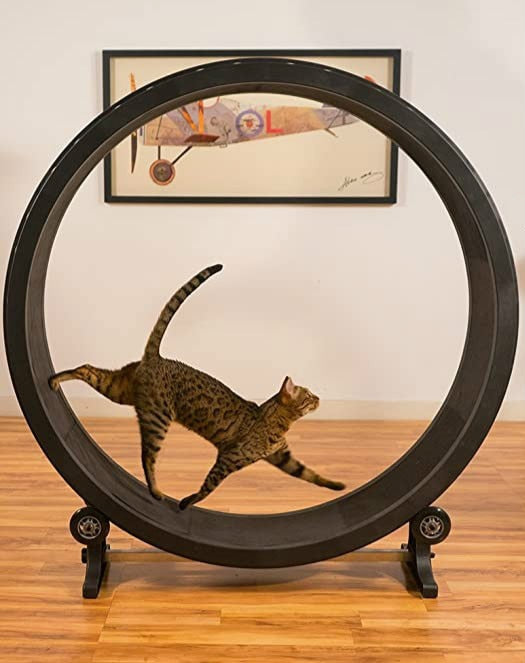 Pet cat climbing frame, cat toy, cat sports toy, cat climbing wheel, cat treadmill, cat running wheel