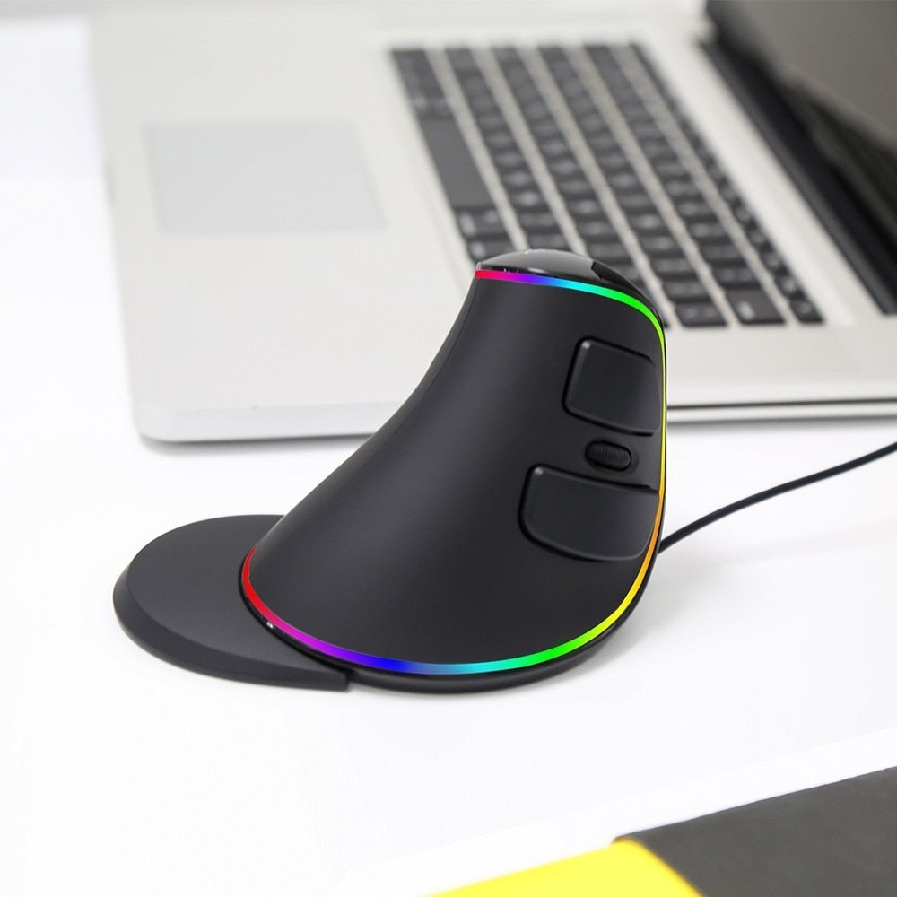 Delux M618Plus RGB Ergonomic Vertical Mouse 6 Buttons 4000 DPI Optical Computer Mouse With Removable Palm Rest For PC Laptop.