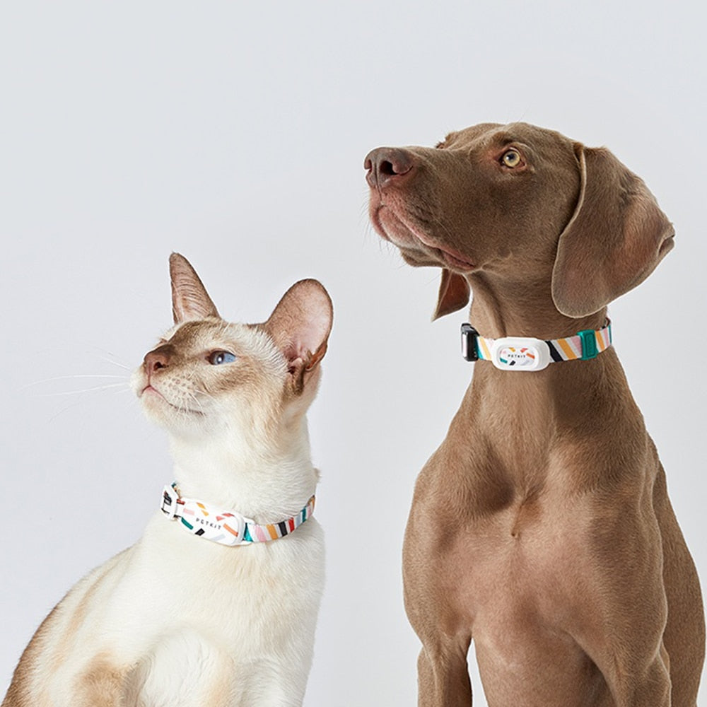 PETKIT Smart Pet GPS Tracker Collar Waterproof Adjustable Bluetooth Control For Cat Dog Sleep Sports Activity Detection Collar
